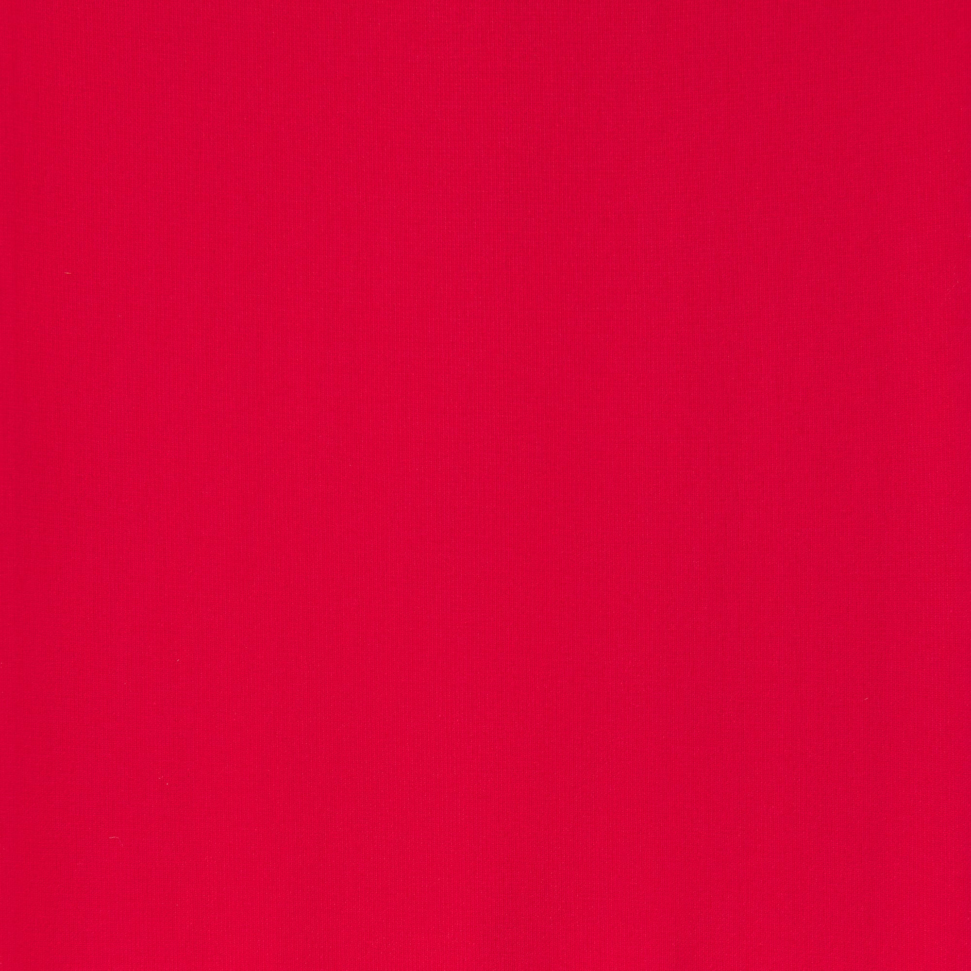 SKIMS HOSIERY THIGH HIGH STOCKINGS | RUBY - Sneaker Türkiye