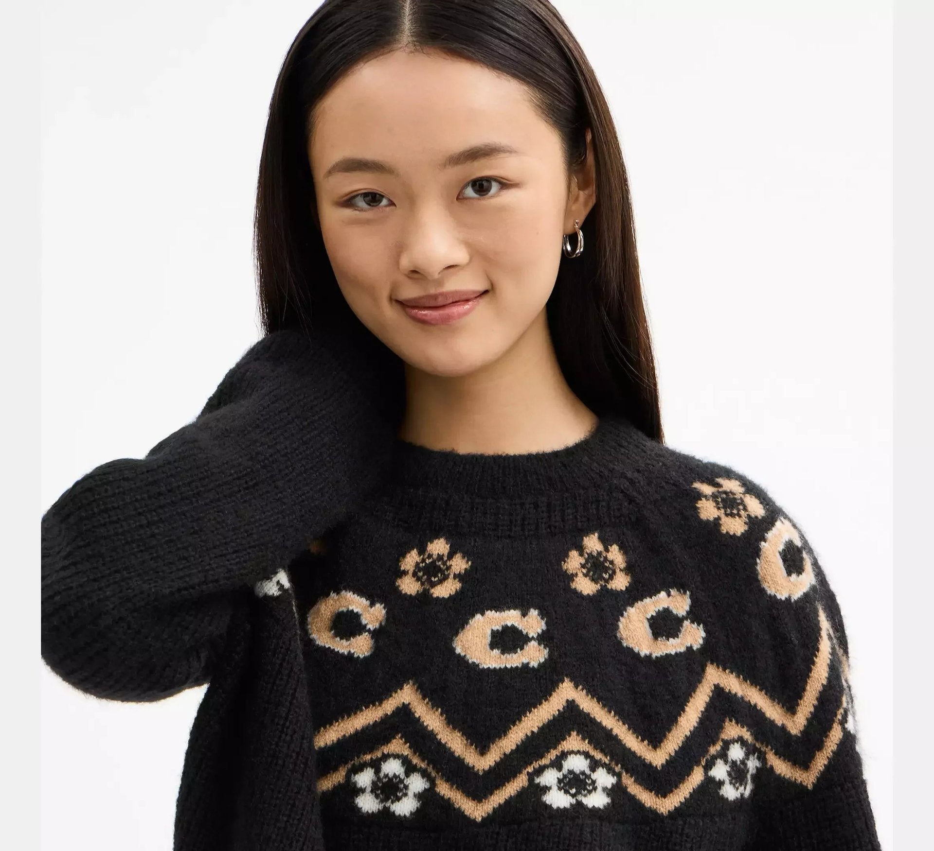 Coach Fairisle Crewneck Sweater – Black - Sneaker Türkiye