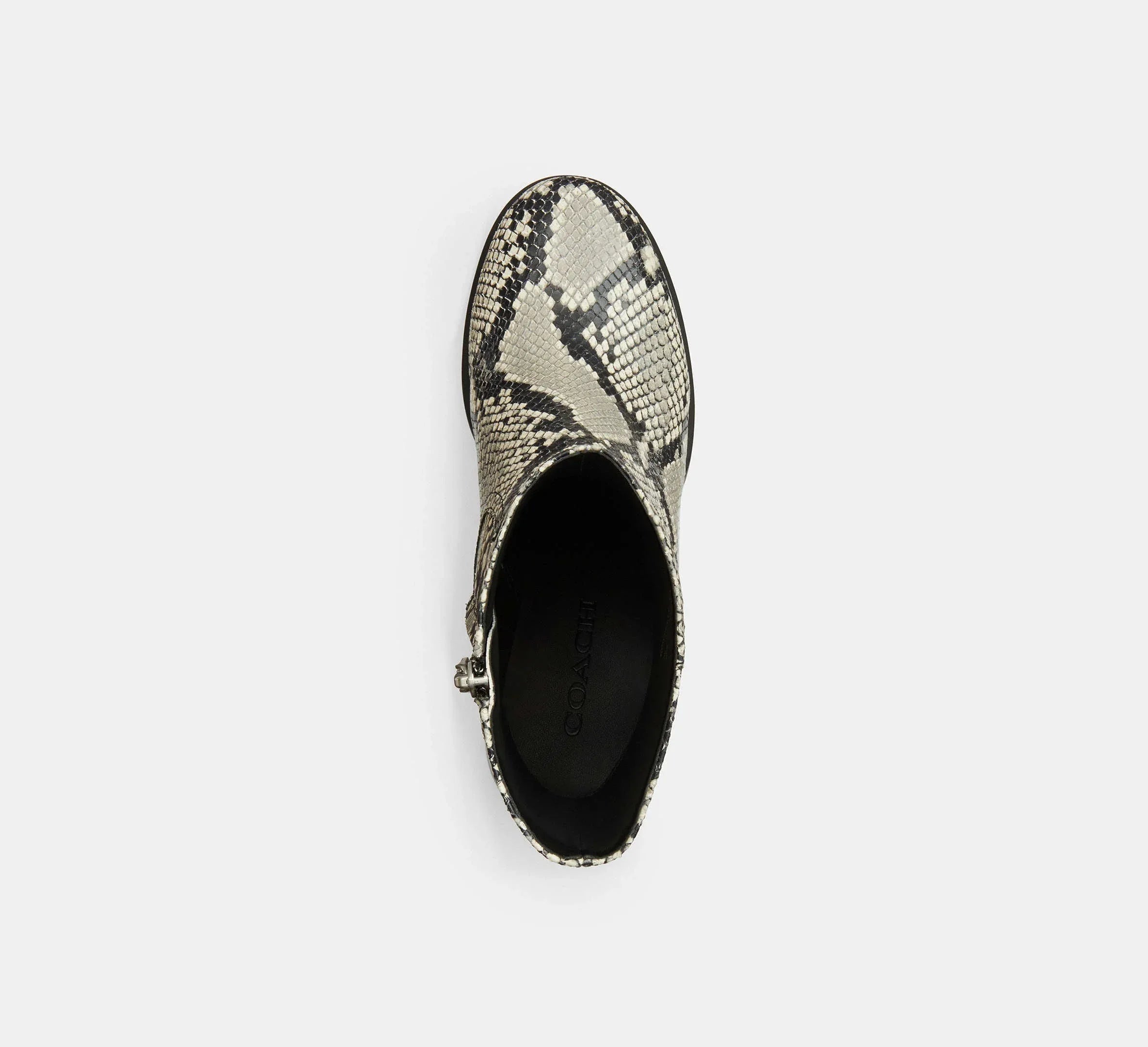 Coach Block Heel Boot With Snake Print – Natural - Sneaker Türkiye