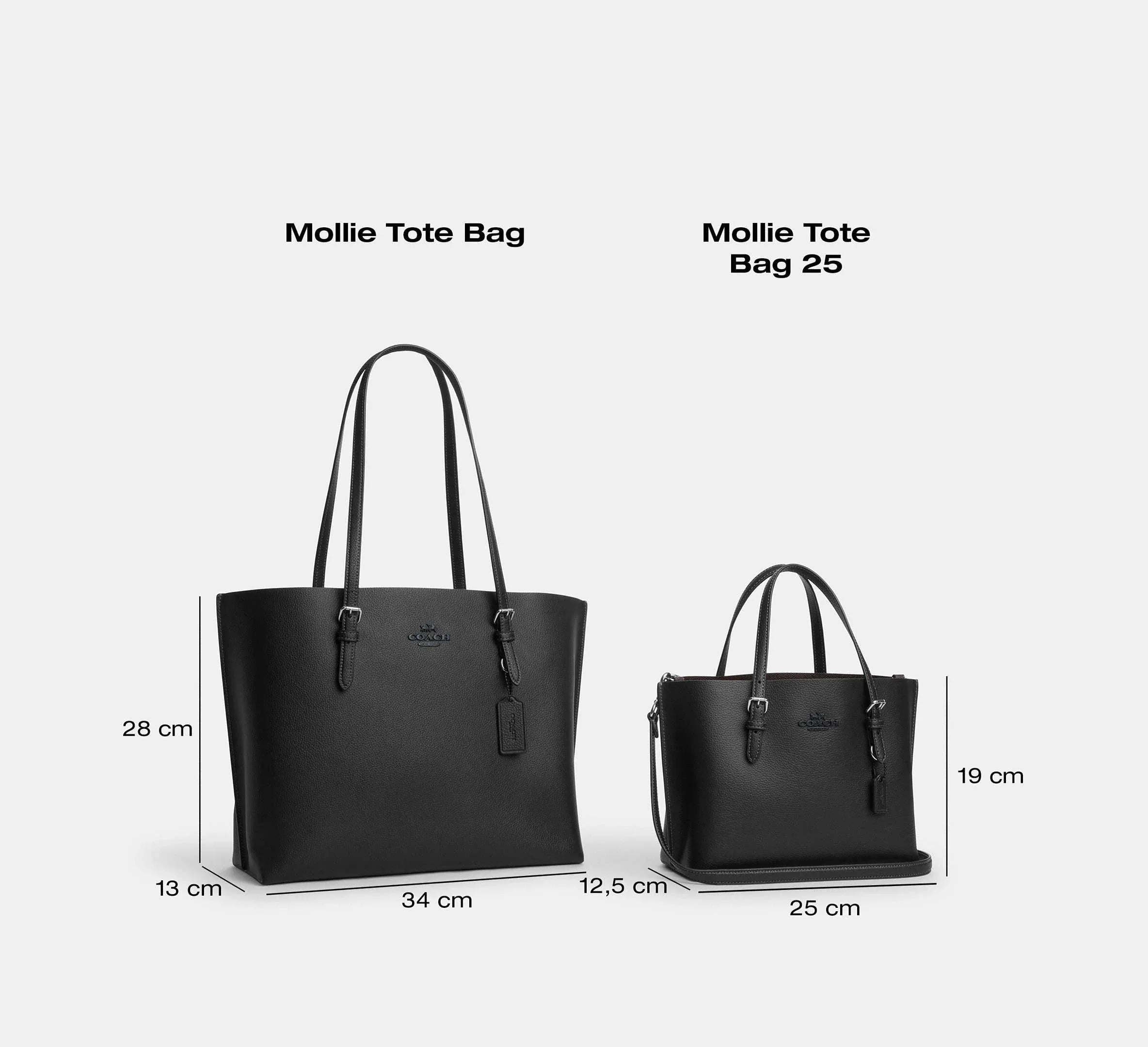 Coach Mollie Tote Bag 25-Silver/Black - Sneaker Türkiye