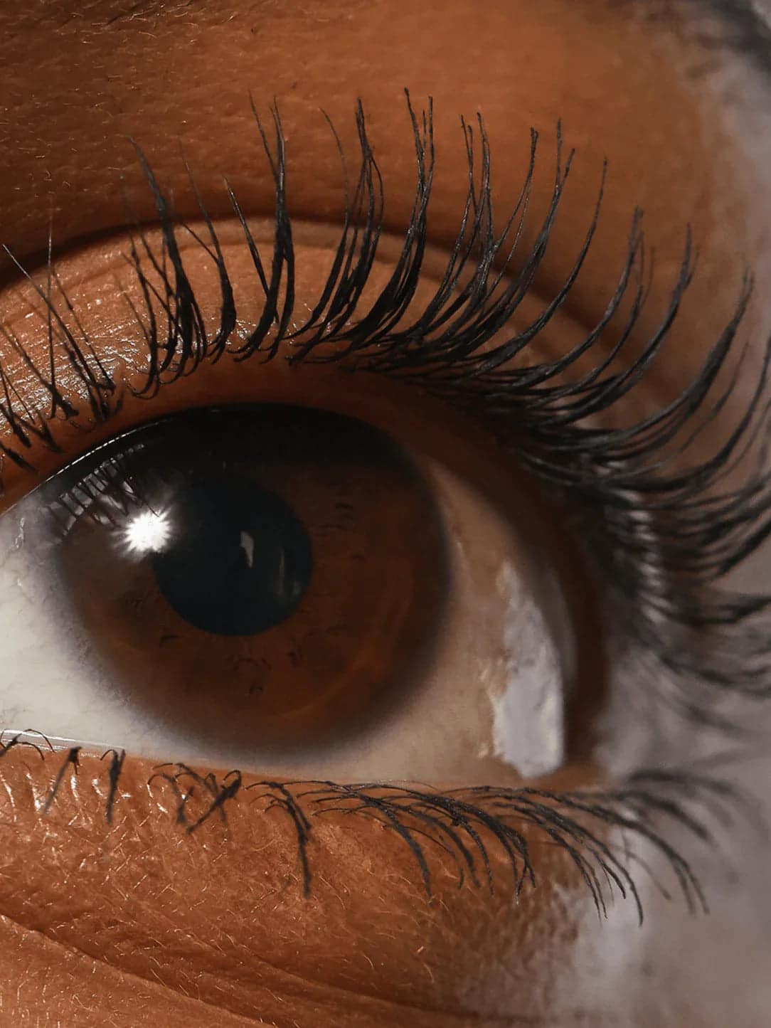 Refy Lash Sculpt – Kirpik Şekillendirici - Sneaker Türkiye