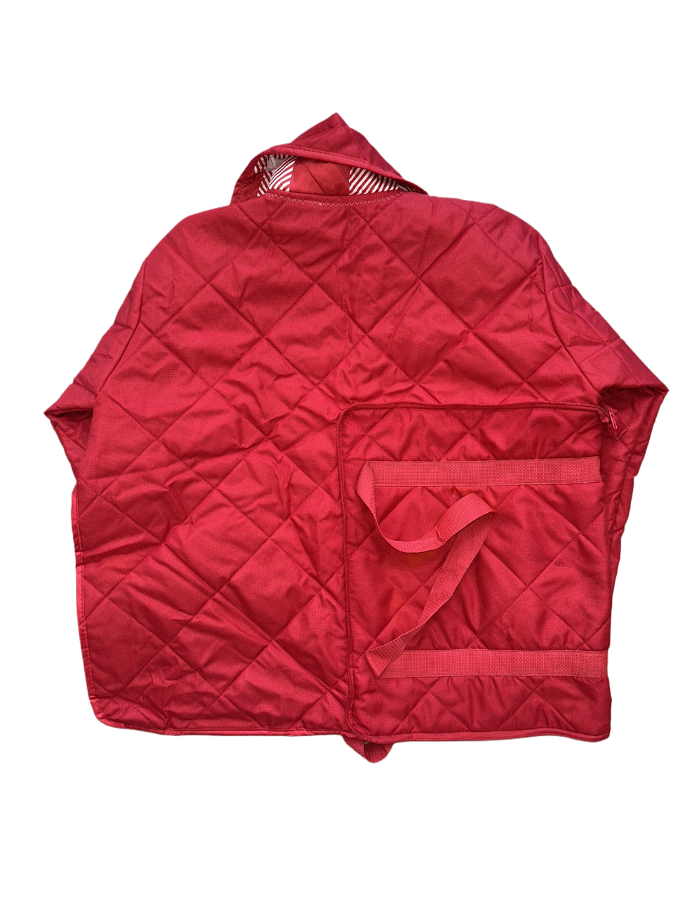 Cointel The Ruby Utility Backet - Sneaker Türkiye