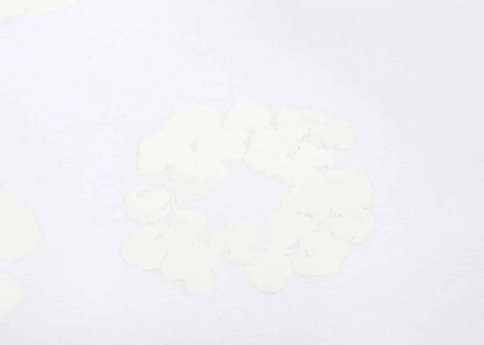 Denim Tears Mono Cotton Wreath Shorts White - Sneaker Türkiye