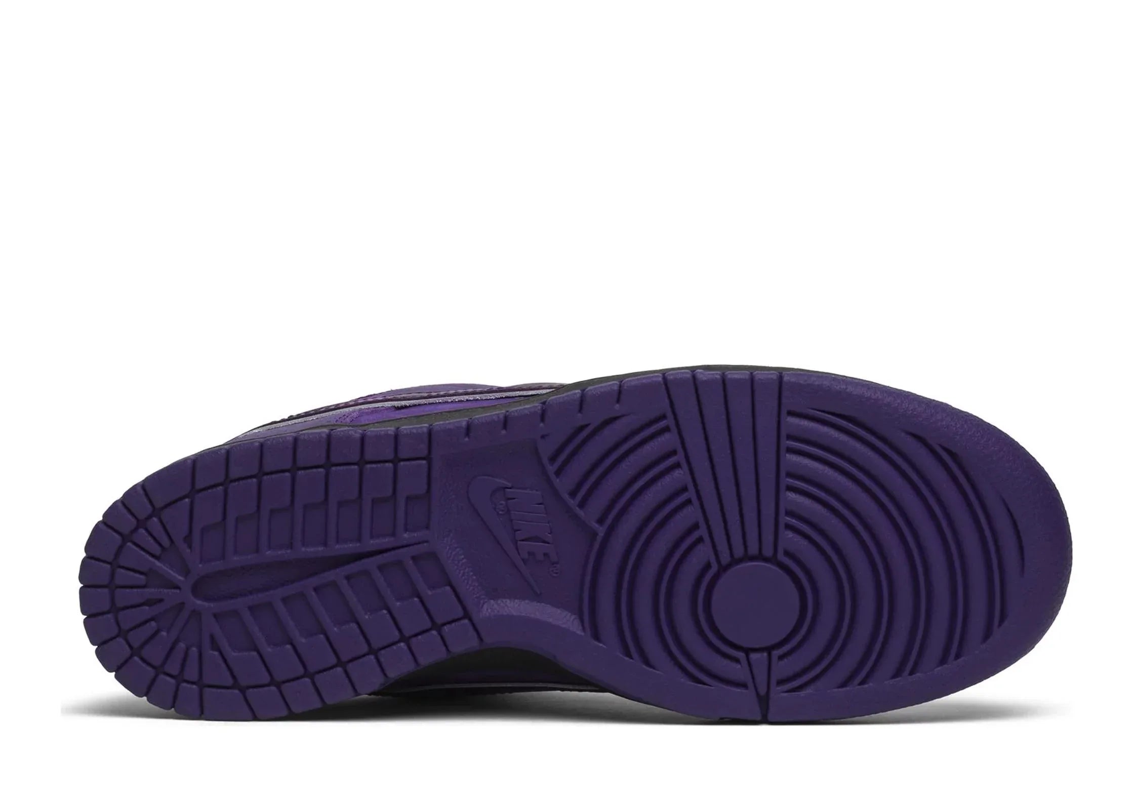 Nike Dunk Low Concepts Purple Lobster - Sneaker Türkiye