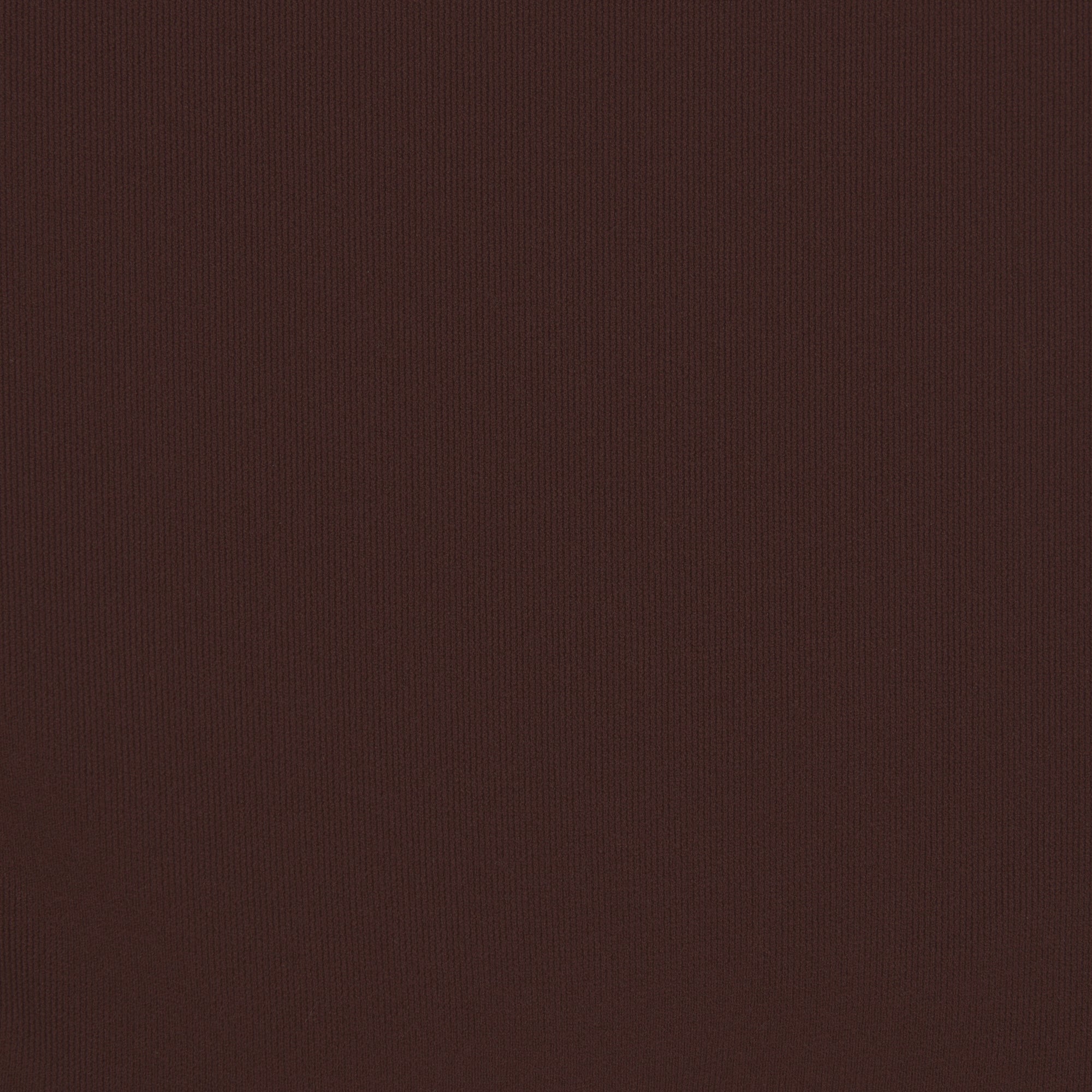 SKIMS FITS EVERYBODY BRIEF | COCOA - Sneaker Türkiye