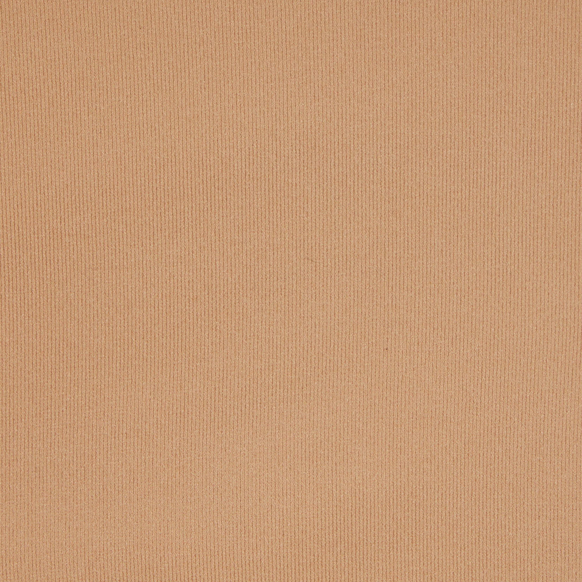 SKIMS FITS EVERYBODY THONG | OCHRE - Sneaker Türkiye
