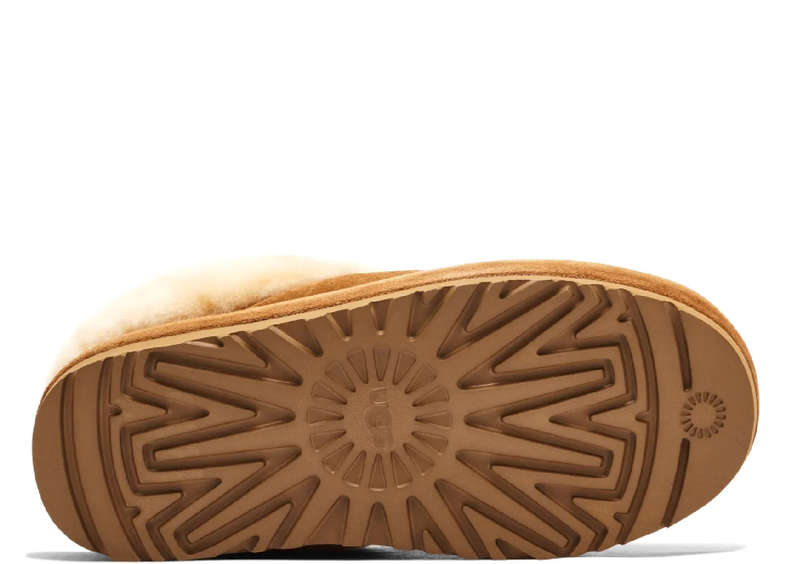 Ugg Tazzlita Slipper Chestnut - Sneaker Türkiye