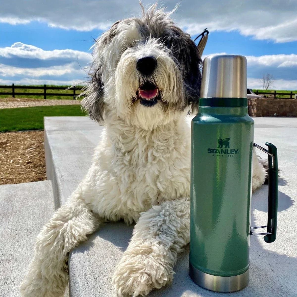 Stanley Classic Legendary Thermos 1L - Sneaker Türkiye